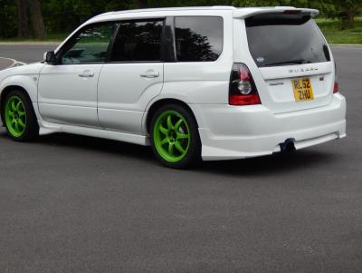 rearscoob.jpg