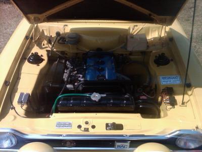 IMG00987-20130714-1323.jpg