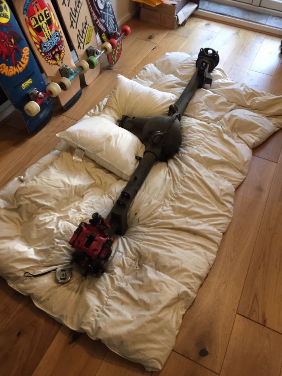 IMG-20170922-WA0003.jpg