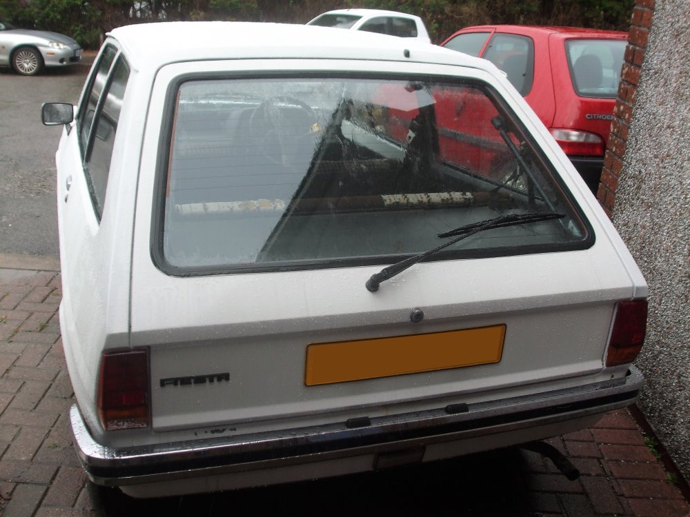 DSCF6123.JPG