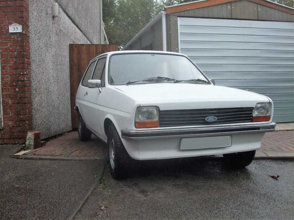 DSCF6126.JPG