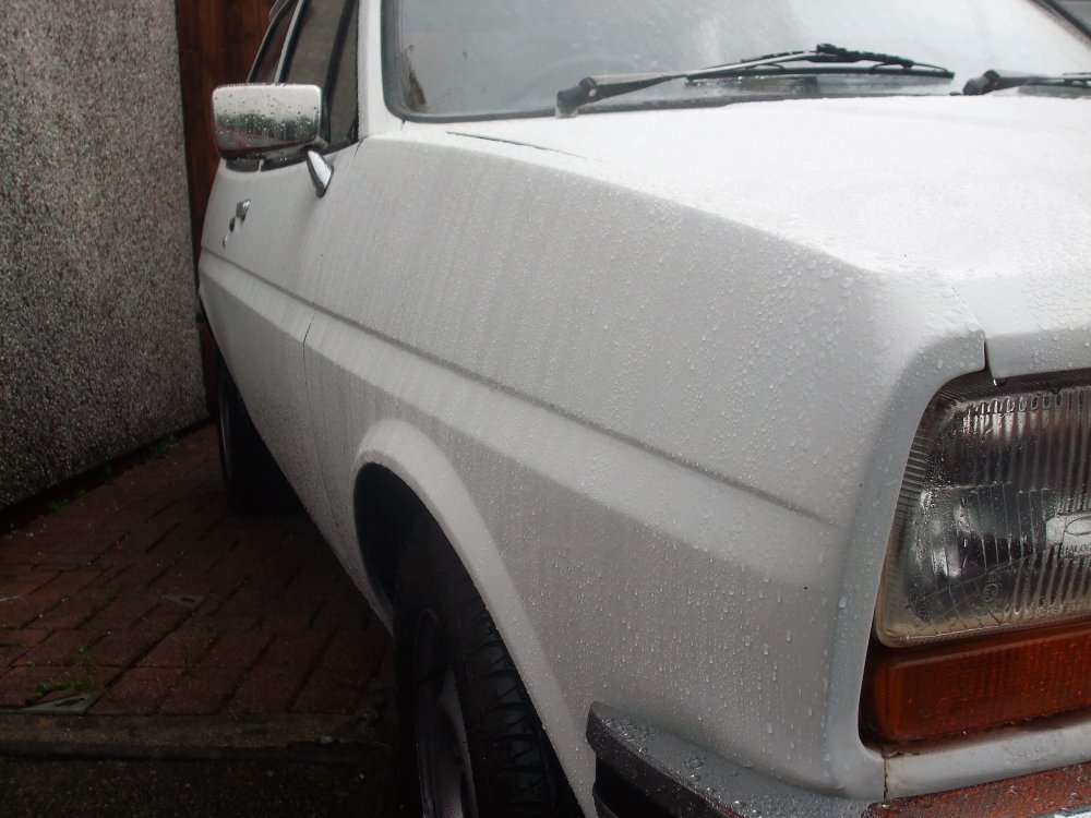 DSCF6127.JPG