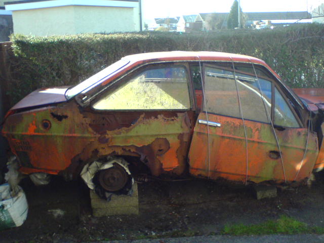 OrangeRust.JPG.8177a9ae0f3b799c6ce5564832ea2dab.JPG