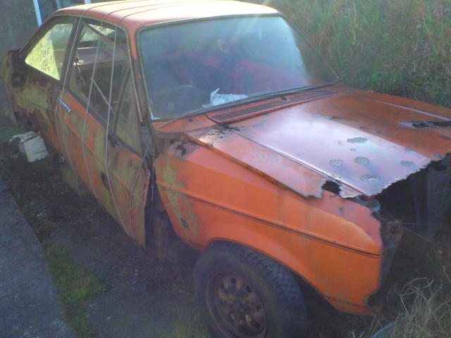 OrangeRust1.JPG.fd273c0235cc394e11a77331e1d37bdd.JPG