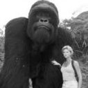 Mighty Joe