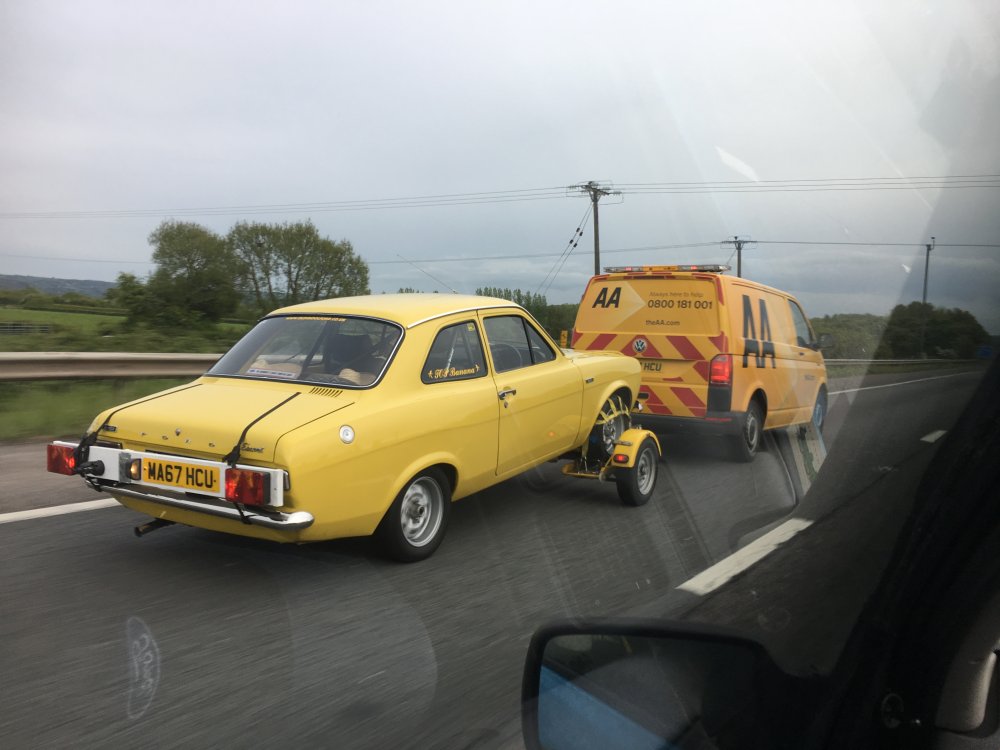 D9C050D4-E5AF-4494-A9AC-DE9A13DA437A.jpeg