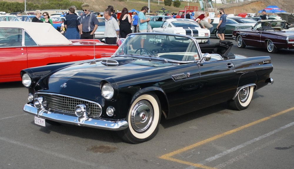 AllFord24.thumb.jpg.ab57c76fa33412e6836d28bbe58c4081.jpg
