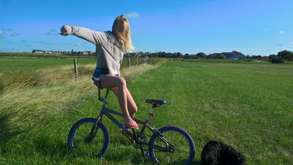 Southwold 2018 Beau lil ripper.jpg
