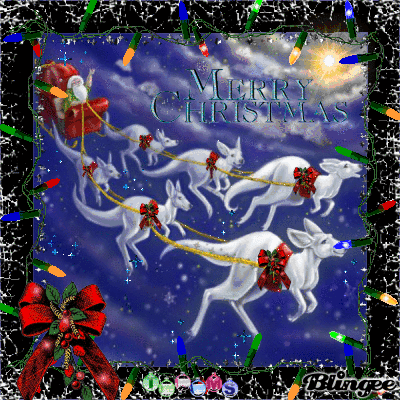 AussieChristmas.gif.0e870f310626d741a21eb2df9cf08407.gif
