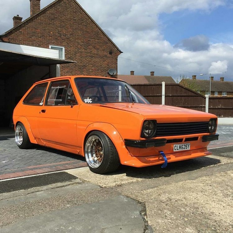 OrangeFiesta7586.thumb.jpg.92f22c9e9e98d4328d1e343800d01292.jpg