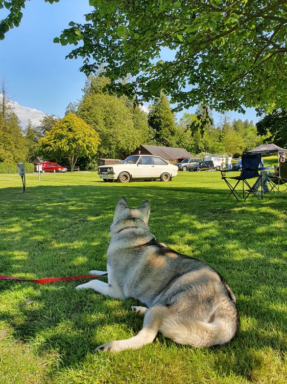 20190621_160513.jpg