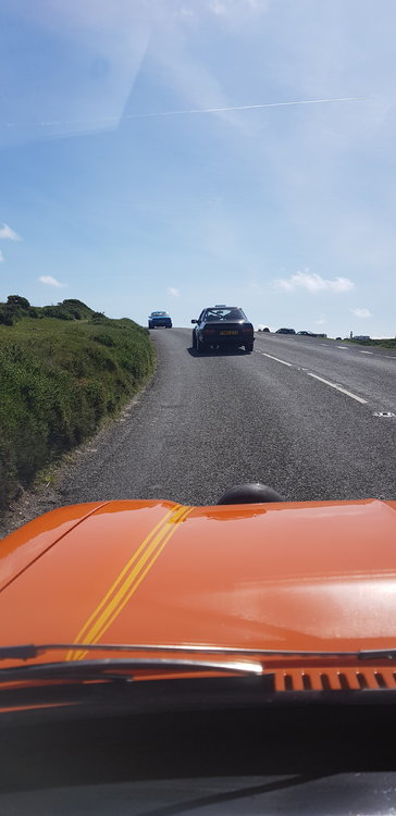 20190622_101421.jpg