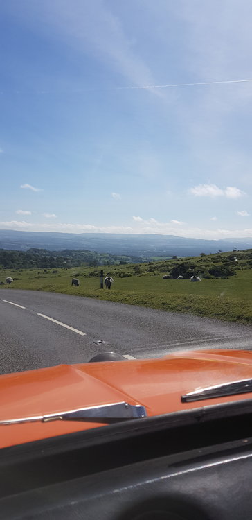 20190622_101433.jpg