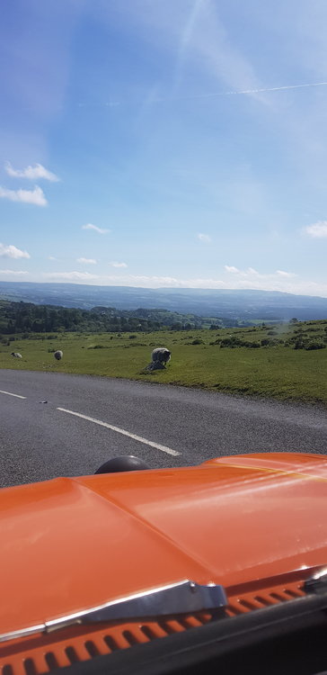 20190622_101434.jpg
