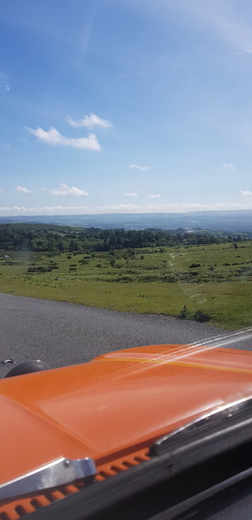 20190622_101441.jpg