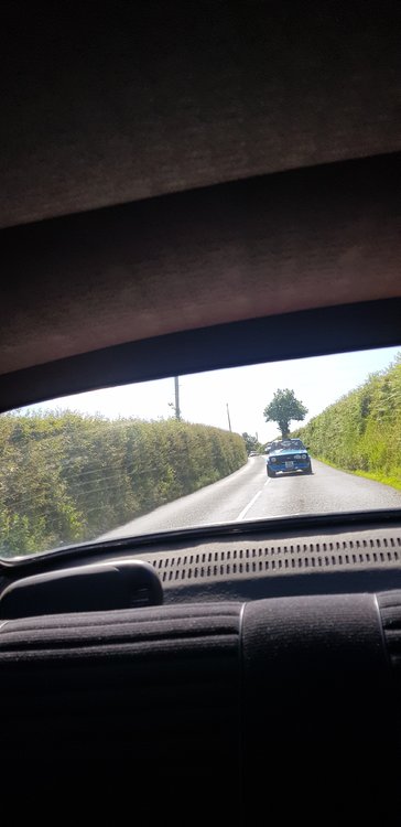 20190622_105302.jpg