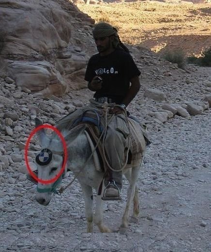 BMWDonkey.jpg.360b6f225d14a4420a93666053b9bb23.jpg