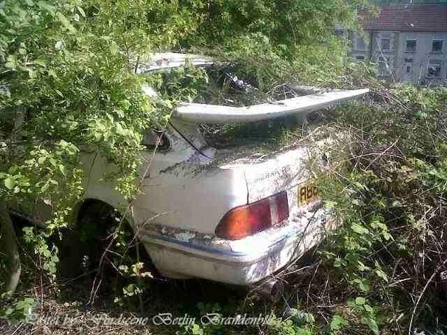 WreckSierra.jpg.ea1ab91e3df2077aafcd0b6faaa00bb7.jpg