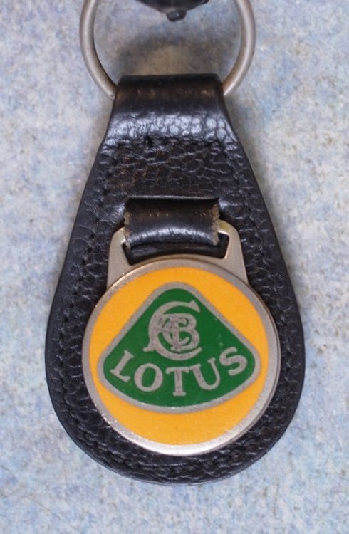 Keyring3.thumb.jpg.167ea94cd2012cc5fea9ef32bd94ee80.jpg