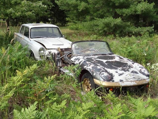 abandonedlotus6.jpg.ea80dd60e092c4e39c4e540d66b4ec1d.jpg