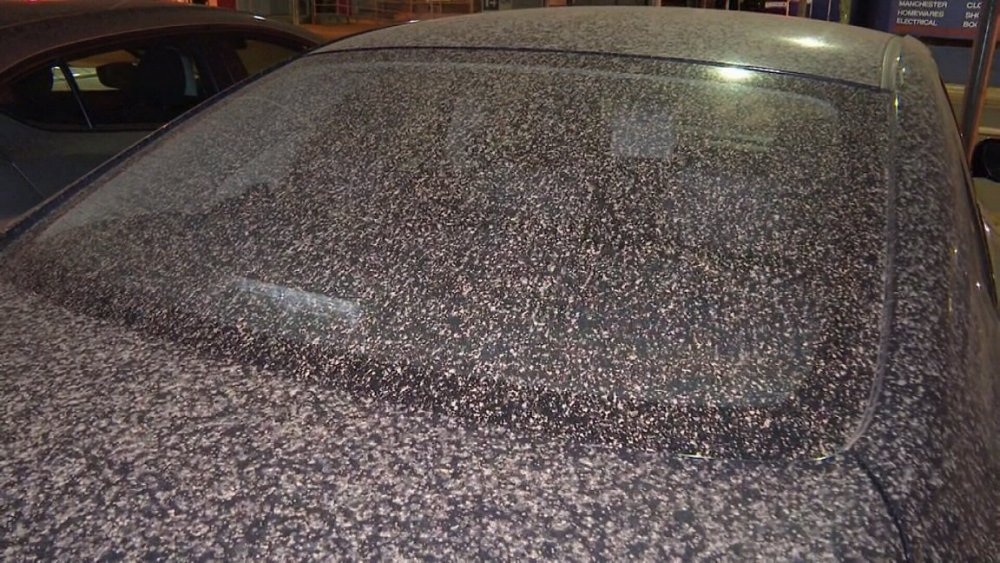 mudspotsS.thumb.jpg.34fbab7ab17aa1ec08d8794a0060fe3f.jpg