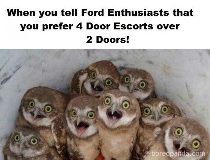 Surprised1.jpg.8a252fcb1de024ae707c32e84acff6a5.jpg