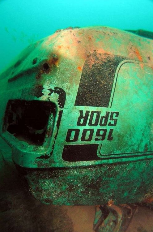 underwater1600SPORT.thumb.jpg.13347cf788cea8bd4f82c44019d956ec.jpg