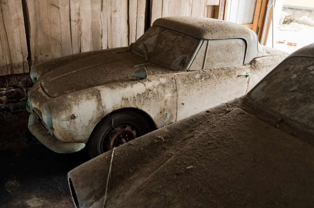 Alfas3e.thumb.jpg.dc9146bd825b95a93183756981061eaf.jpg