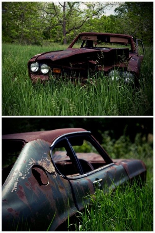 WreckCapri17.thumb.jpg.3a3632b24d0d4afee8e5ef99d377fbbc.jpg