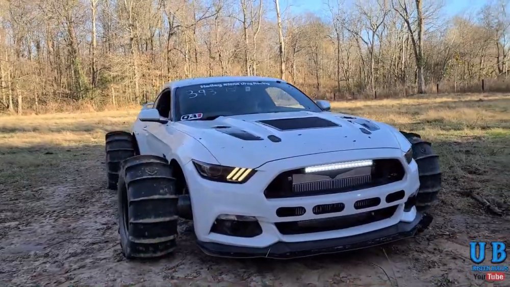 MUDstang.jpg