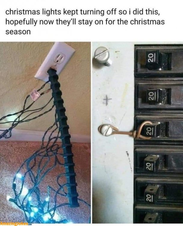 Christmas Lights.jpg