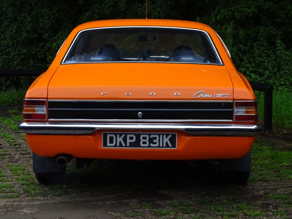 OrangeCortina5d.thumb.jpg.25732fa073893199c585d64e1c7e2461.jpg