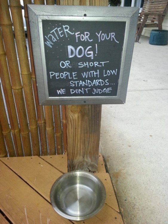 Sign88.thumb.jpg.9766a0856f6599843a67b644364d7775.jpg