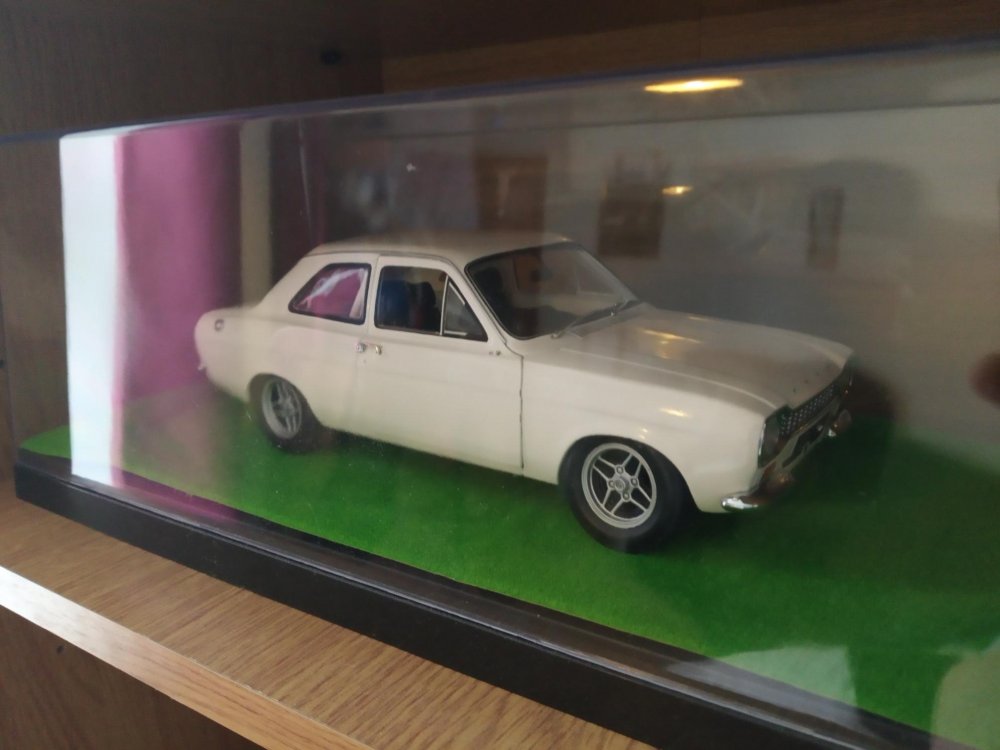 resized model.jpg