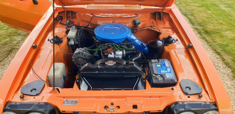 OrangeCapri7z15.thumb.jpg.3e8032ec722ae8c4bd78e7d659e09bef.jpg