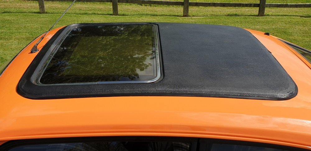 OrangeCapri7z9.thumb.jpg.7bd48161dc25619372d1139df4cc99c4.jpg