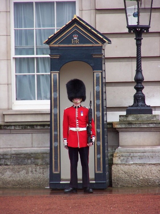 royalguard.jpg
