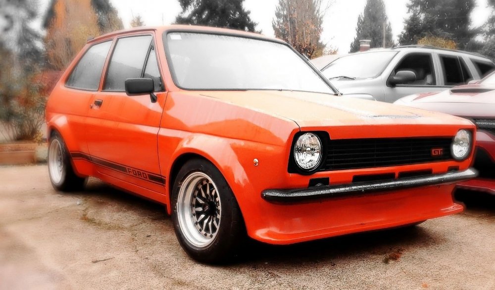 OrangeFiesta2.thumb.jpg.2b757b9b17b29debd429d3296a72383d.jpg