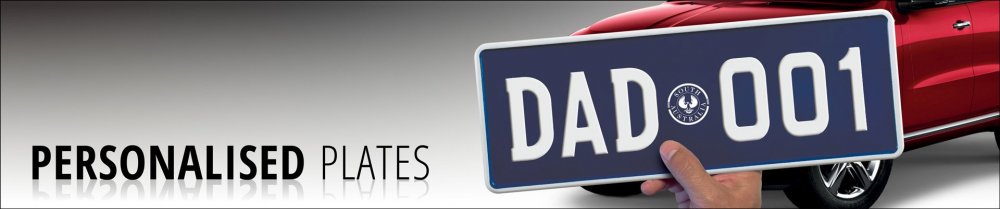 SAPlates3.thumb.jpg.dca21faf478dfd86e0a11a15a0a557c7.jpg