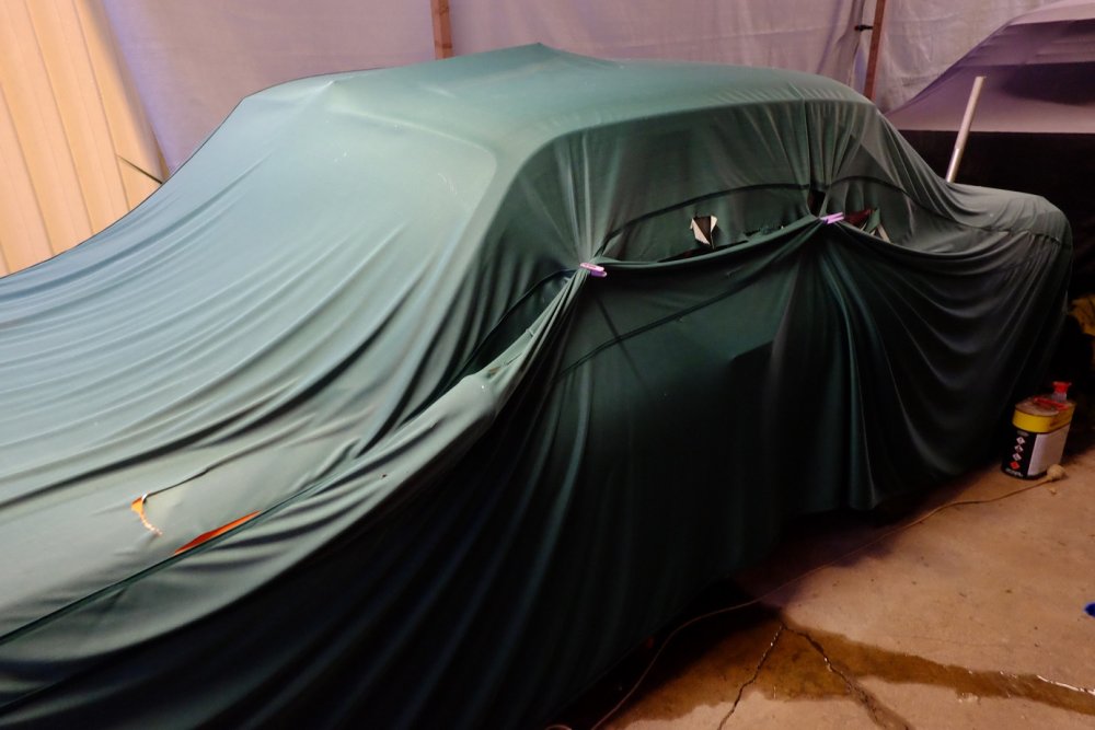 CarCover.thumb.jpg.f4d624f86bac183dec4fc0cf17c9195b.jpg