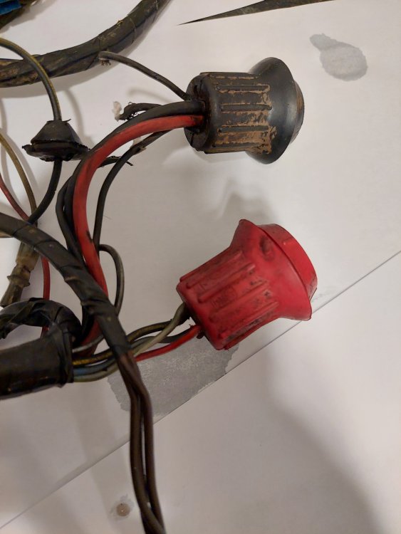 loom2.thumb.jpg.241473e250094939cda191b81eac613b.jpg
