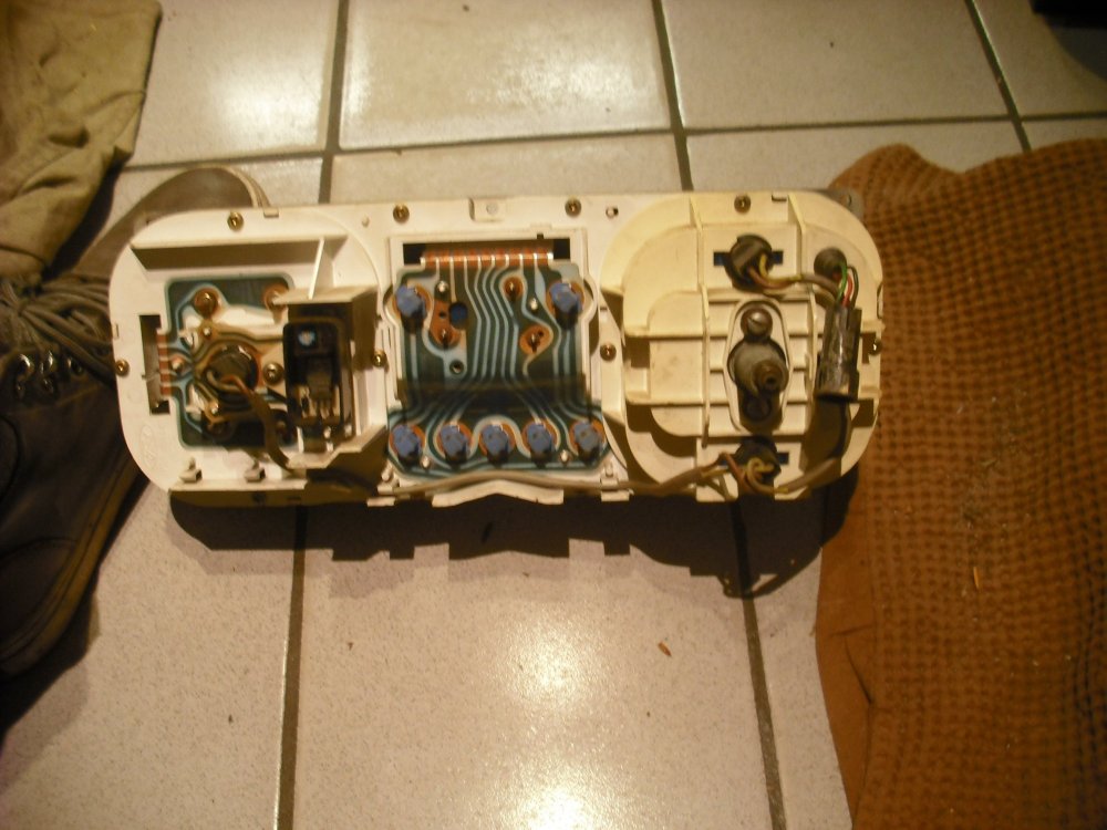 DSCF5341.JPG