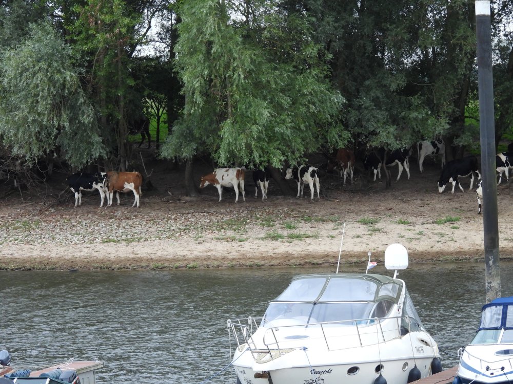 DSCN0402.JPG